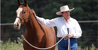 Live instruction in horsemanship for women by Karen Scholl