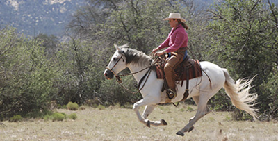 natural horsemanship teacher Karen Scholl