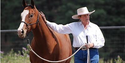 Karen Scholl with horse