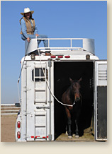 Women's horsemenship demos