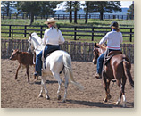 Horsemanship cow working clinics in Arizona 