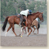 Horsemanship camp playing polo cross