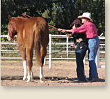 One on one lessons in horsemanship for women